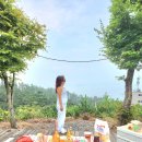 솔향기길청소년야영장 이미지