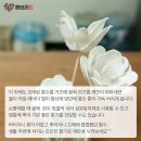 디퓨저 만들기 이미지