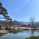 대구 &#39;남평문씨본리세거지&#39; 한옥 홍매화 능소화 목화 문익점 문화해설사 영화촬영지