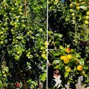 두만농장 이미지