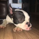 덕호네수산