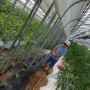 은준농장 이미지