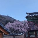 가인야영장 이미지