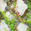 (주)혜송 이미지