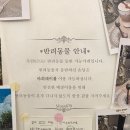 무안879 | 무안 실내 애견 동반 오션뷰 카페 톱머리해수욕장 카페 &#39;무안879&#39; 솔직후기