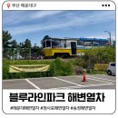 청사포 | 부산 여행 필수코스 | 해운대 해변열차 청사포↔송정 왕복 후기