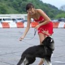 착한강아지 이미지