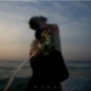 W5. 대구 웨딩 스튜디오 결정(ONA/노마하우스/세미앙)