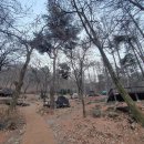 용인자연휴양림 야영장 이미지