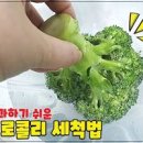 브로콜리 데치기 찌기 시간 세척 보관법 간단한 반찬 이미지