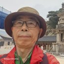 해운대전통시장 이미지