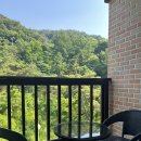 나무이야기 펜션 리솜포레스트 | <제천> 포레스트 리솜 근처 바베큐가능한 ‘나무이야기펜션 리솜포레스트’ 제천 펜션 후기 / 리솜해브...