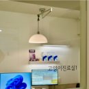 리움 동물의료센터 이미지