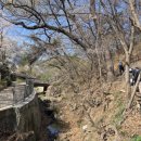 개울옆길 이미지