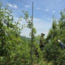 하촌농장 이미지