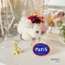 봉주르독 이미지