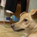쭈니농산
