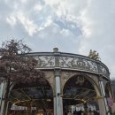 짱경품랜드 | 용인 [에버랜드] 워킹사파리 / 매운맛스쿨 / 음식점 일요일 방문 후기!