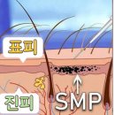 채움하다