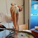 황제칼국수 이미지