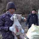 이명규농장 이미지