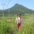 춘성대교(구)