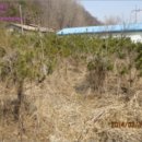 도제원로84 이미지