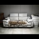 을지의료기 | 요즘 이사나 짐 옮길 일 있으면 무조건 여기!