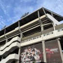 삼성2-125 | 수원 KT 위즈파크 먹거리 (진미통닭 보영만두 요거트월드) 3루 응원지정석 125구역