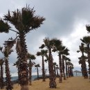 조천올레펜션 이미지