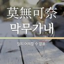 막무가내(莫無可奈)-전체보기-1 이미지