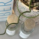 제스트 | 🌿 리베르 무신사향수 봄 신상 | LIBER 그린 사운즈 &amp; 로즈 제스트 후기