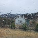 애니카랜드 진영점 이미지