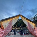 카우보이 | [제천 맛집] 텍사스 바베큐 플래터 맛집 ‘카우보이그릴’ 방문후기