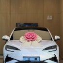BYD청주 추천｜씨라이언7 플러스 출고 후기, EV6보다 만족한 전기 SUV (48호 출고기)