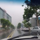 호야모터스 이미지