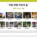 통나무숲속마을 이미지