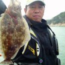 해조호