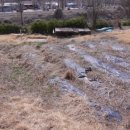 고려공인중개사사무소 이미지