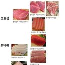 참치마