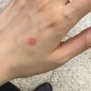 데코데코니