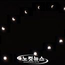 61 노컷뉴스