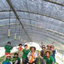 국제농장 이미지