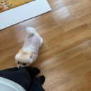 지장암 - 1254 | 보령 점집 '지장암' 신점 후기ㅣ신년운세