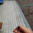 채널큐_신림로데오점 네이버블로그