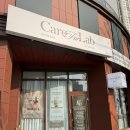 원천교 | 광교 편한다이어트 케어포랩 솔트 온열돔 관리 후기