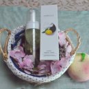 코코피부 이미지