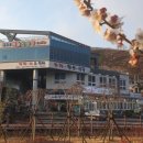 매실사랑펜션 이미지