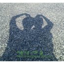 금오인터내셔널 이미지