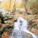 모악산도립공원 Daum카페